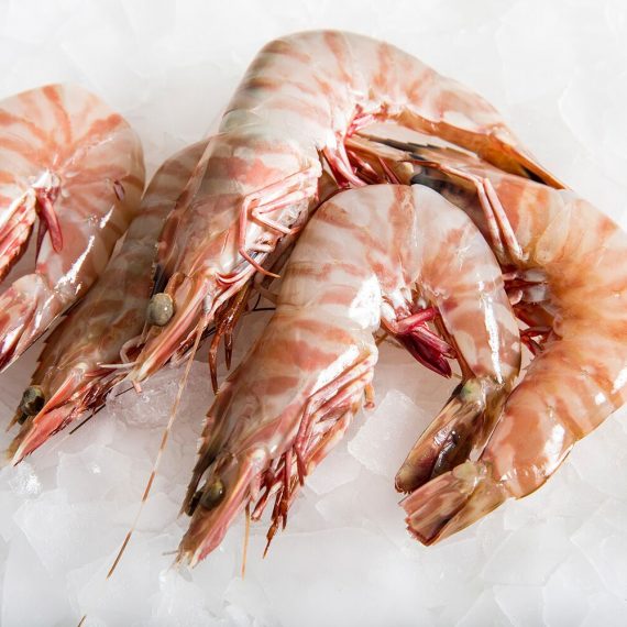 Tiger-Prawn