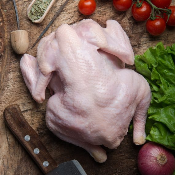 broiler-chicken