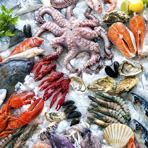 Fish & Seafood