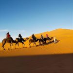 3 Days Merzouga Tour at فندق علي