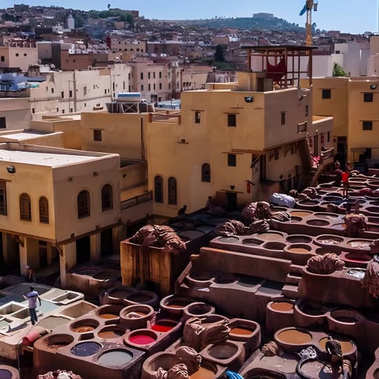 Activity: Half Day Guide Sightseeing City Tour of Marrakech at Marrakesh, Marrakesh, Morocco