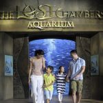 Aquaventure Waterpark + Lost Chambers Aquarium at Aquaventure Waterpark, Dubai, United Arab Emirates