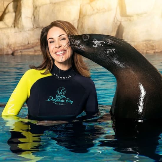 Atlas Village – Sea Lion Experiences at Atlantis The Palm, Dubai, United Arab Emirates