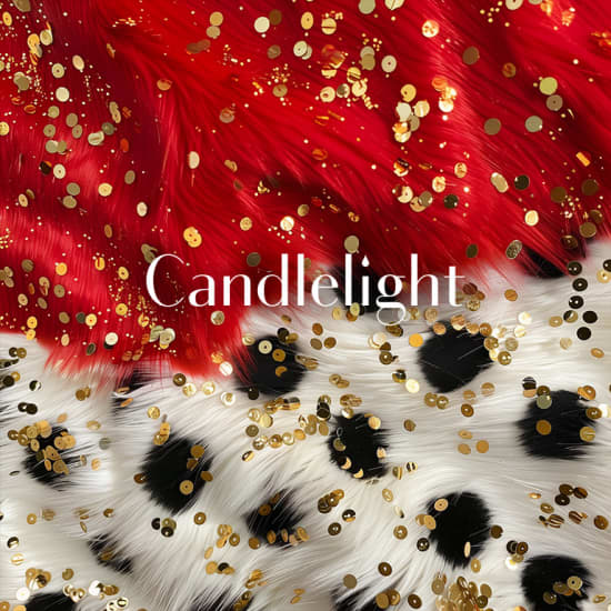 Candlelight: Queen vs ABBA at Hyatt Centric Sector 17 Chandigarh