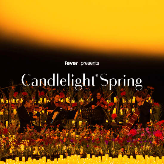 Candlelight Spring: 夢と幻想の世界のメロディー at 三越劇場