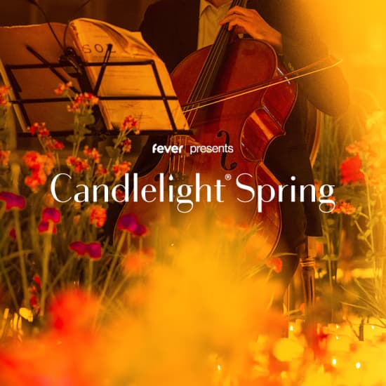 Candlelight Spring: 時代を超えて愛されるクラシック名曲集 at 那覇文化芸術劇場なはーと, Naha, Japan