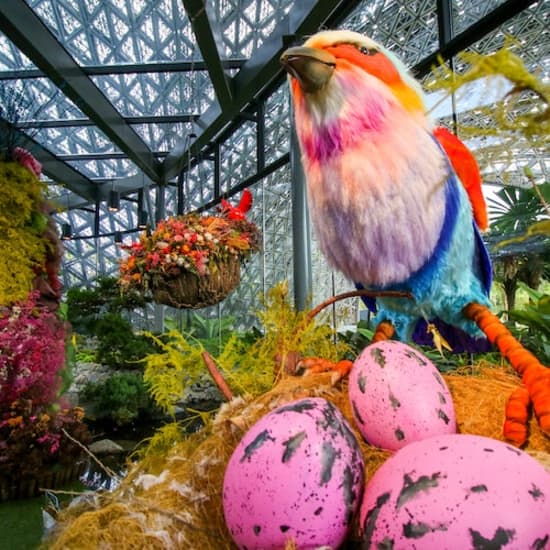 Floral Fantasy at Gardens by the Bay at Floral Fantasy, Singapore, Singapore