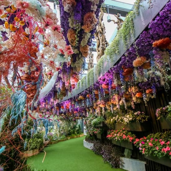 Floral Fantasy at Gardens by the Bay at Floral Fantasy