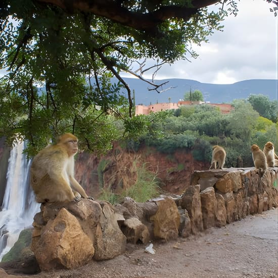 From Marrakech: Day trip to Ouzoud waterfalls and boat tour at Marrakesh, Marrakesh, Morocco