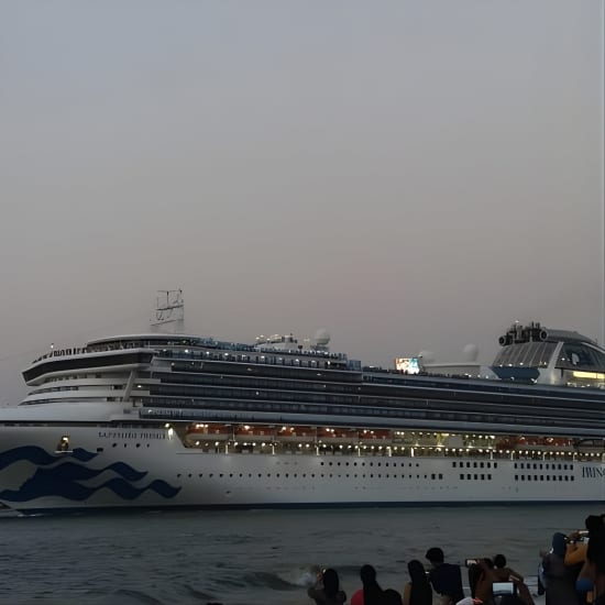 Half-Day Private Taxi Tour in Kochi at Cochin Port