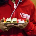 Half-Day Tour in Delhi: Local Food Walking Adventure at Vishwavidyalaya Metro Station, New Delhi, India
