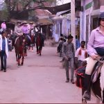 Jaipur Horse Riding Adventure at Ramada BY Wyndham Jaipur Jaisinghpura