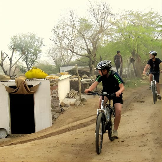 Jaipur Village Cycling Safari at Panther statue