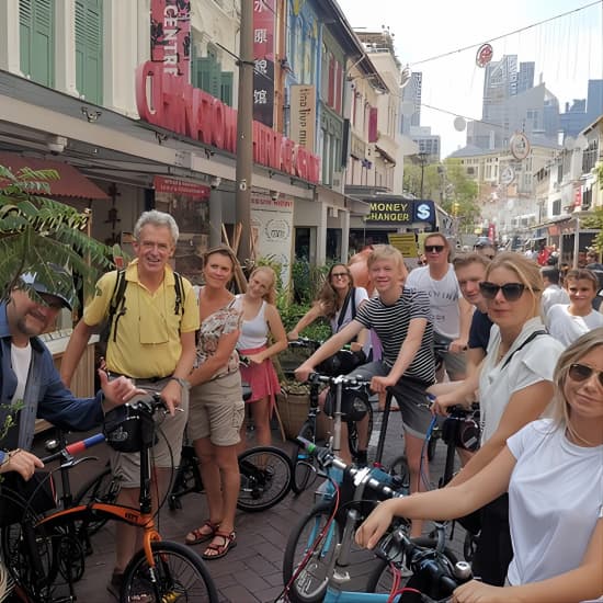 Lion City Bike Tour of Singapore at 20 Republic Ave