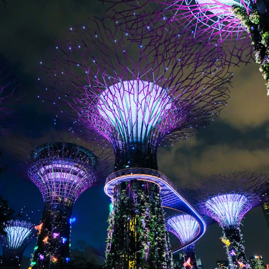 Marina Bay Night Cycling Tour at Let’s Go Tour Singapore