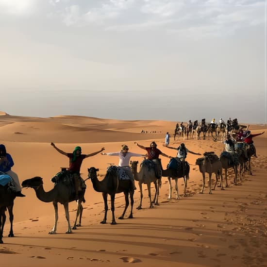 Overnight Camel Trekking in Merzouga Desert/ Erg Chebbi at 4252+28W, Marrakesh, Morocco