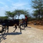 Premium Delhi Aravalli Organic Cycle Tour – A glimpse of Real and Rural India at Qutab Minar, New Delhi, India