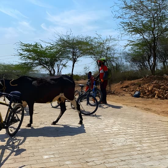 Premium Delhi Aravalli Organic Cycle Tour – A glimpse of Real and Rural India at Qutab Minar, New Delhi, India