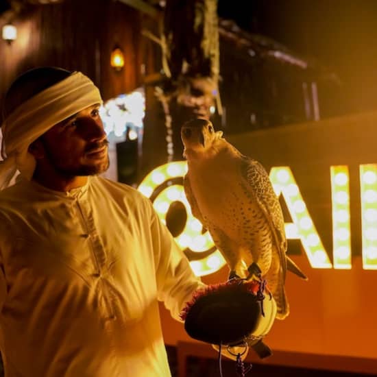 Premium Desert Safari: Camel Ride