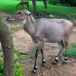Premium Hidden Jewels of Delhi Cycling Tour – The First Chapter of Delhi at Qutab Minar, New Delhi, India