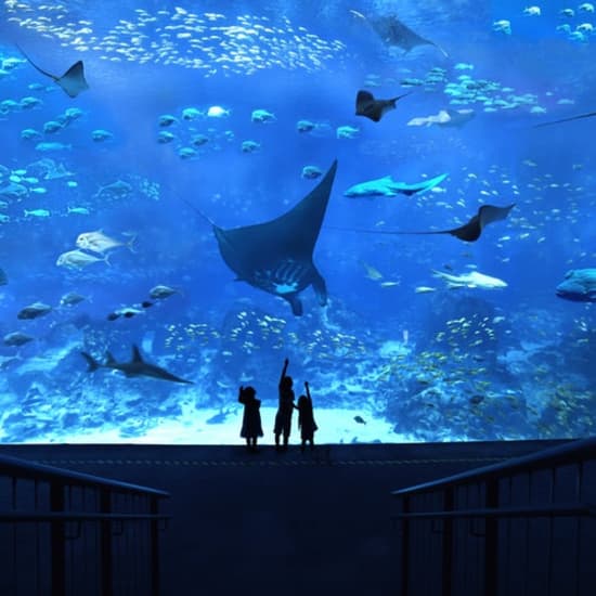 Sentosa Fun Pass:  A wonderland of awesome attractions at Imbiah Lookout (Tourist Attraction)