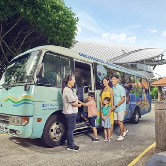 Sentosa Island: 2-Hour Bus Tour at Sentosa 4D AdventureLand