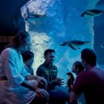 000 birds and 400 species! at Bird Paradise Singapore