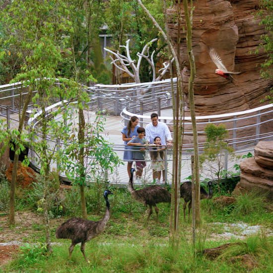 Singapore Bird Paradise: over 5