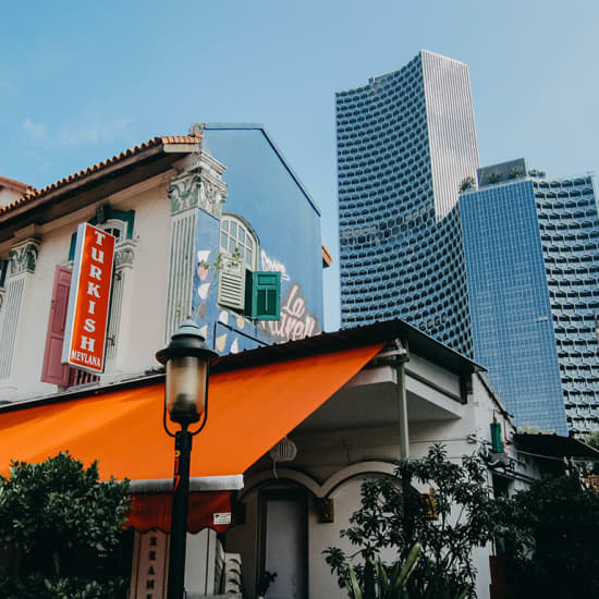 Singapore City Center Exploration Game at 44/ Botanic Gardens MRT Station