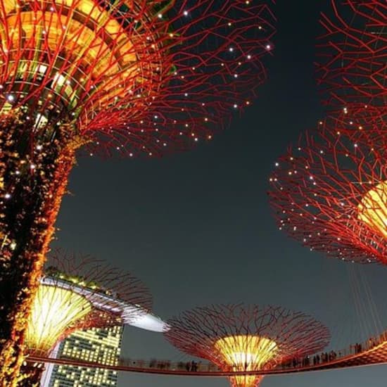 Singapore: Gardens by the Bay Admission E-Ticket at Gardens by the Bay, Singapore, Singapore