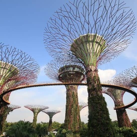 Singapore: Gardens by the Bay Admission E-Ticket at Gardens by the Bay