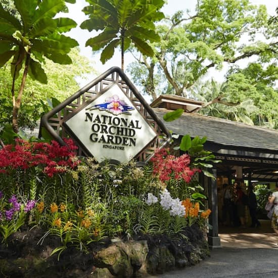Singapore National Orchid Garden Tickets at National Orchid Gardens