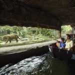 Singapore River Safari: Entrance + Roundtrip Transfer at River Wonders, Singapore, Singapore