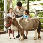 snakes and more at Singapore Zoo