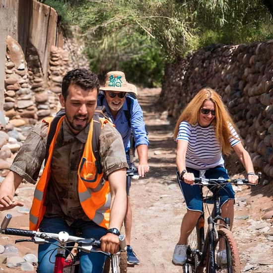 Suncycling in Marrakech’s Palm Groove – Breakfast Included at 29 Rue Riad Laarous