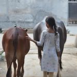 Village Snapshot - Pure and simple at studifysuccess