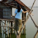 Walk the Kolkata Wetlands: Green Eye Candy at Narayani Tower, Kolkata, India