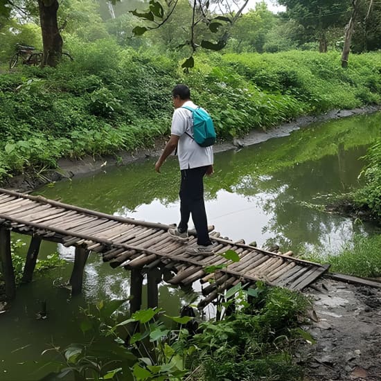 Walk the Kolkata Wetlands: Green Eye Candy at Narayani Tower