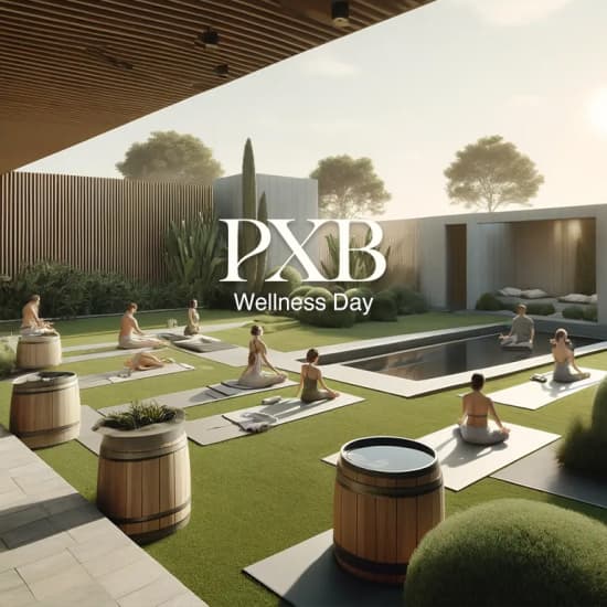 Wellness Day by PXB at Terra, Dubai, United Arab Emirates